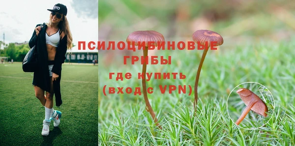 скорость Алзамай